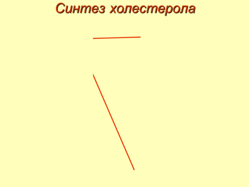 Синтез холестерола